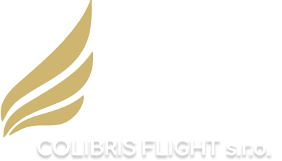 logo pruhledne